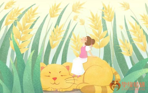 分手后复合能长久吗 挽回的感情会长久吗 分手后复合能长久吗 挽回的感情会长久吗