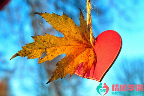 离婚后挽回老公的步骤?做好这几点挽回基本能成功 离婚后挽回老公的步骤?做好这几点挽回基本能成功