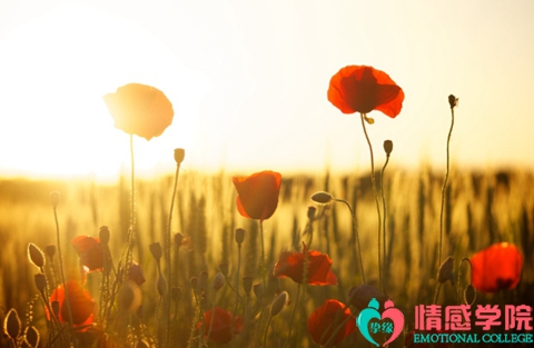 怎样挽回婚姻感情的方法?这几个方法很有用 怎样挽回婚姻感情的方法?这几个方法很有用