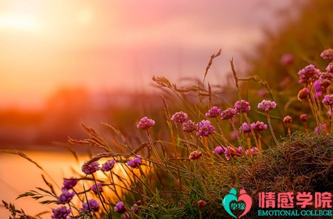 怎样挽回婚姻感情的方法?这几个方法很有用 怎样挽回婚姻感情的方法?这几个方法很有用