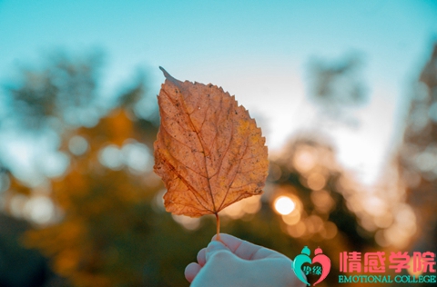 挽回丈夫的心最佳时间，挽回丈夫有哪些方法?