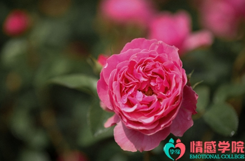 1668681932423012.jpg a2022071595.jpg