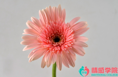 离婚后该如何挽回婚姻? 离婚后该如何挽回婚姻?