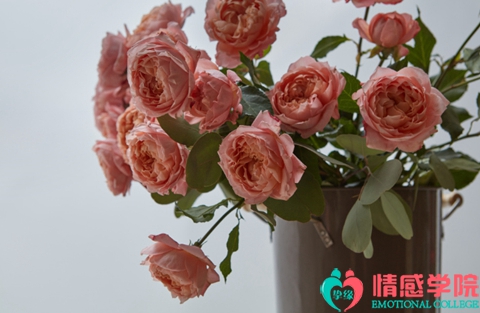 1670492561122869.jpg a2022071598.jpg