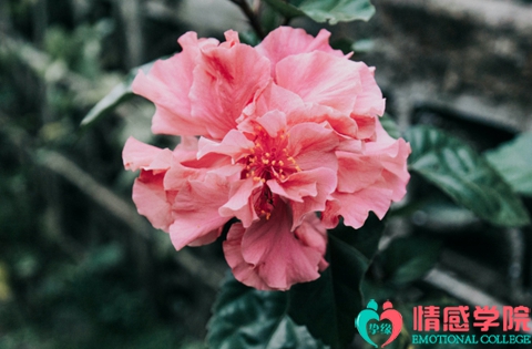 1670668859571313.jpg a2022071552.jpg