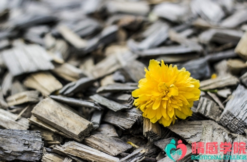 1671100312177101.jpg i2022071534.jpg