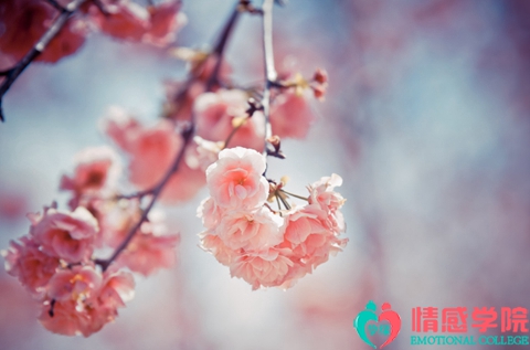 如何对付老公的小三? 如何对付老公的小三?