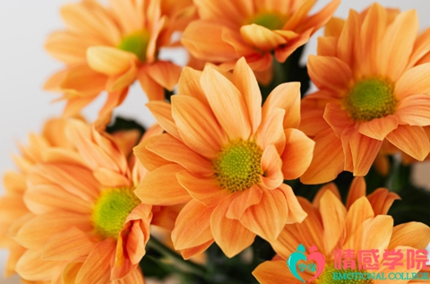 发现老公多次出轨怎么办？