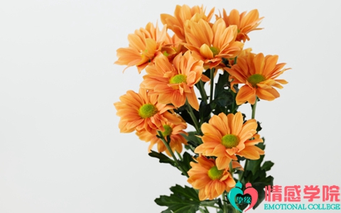 发现老公多次出轨怎么办？