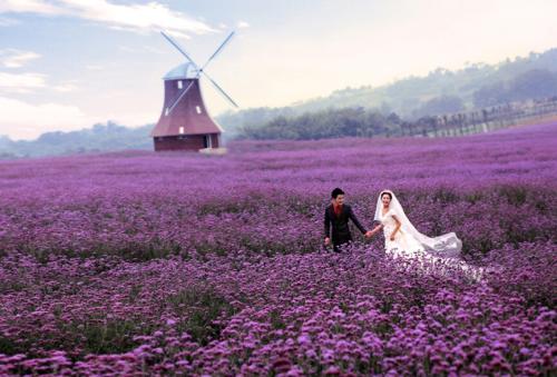 当婚姻遭遇出轨,该怎么做才能挽救婚姻?